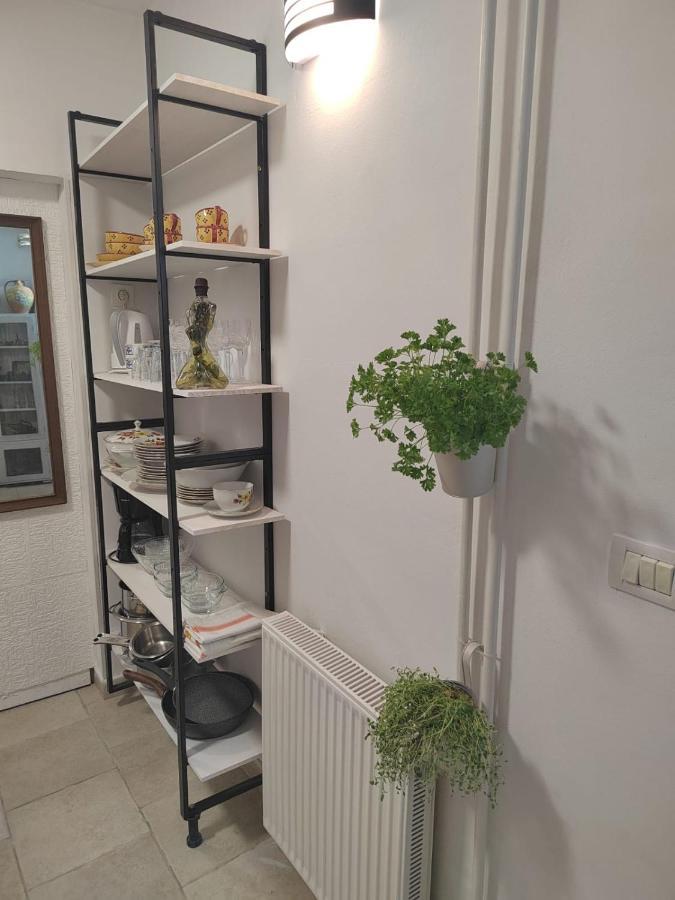 Apartman Brioni Fažana エクステリア 写真